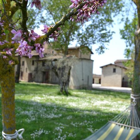 Agriturismo Nestore Dış mekan fotoğraf