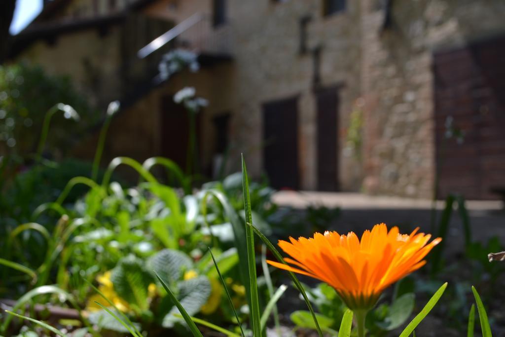 Agriturismo Nestore Dış mekan fotoğraf