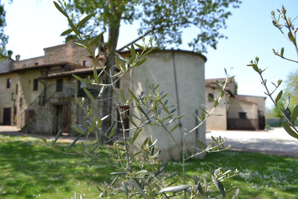 Agriturismo Nestore Dış mekan fotoğraf