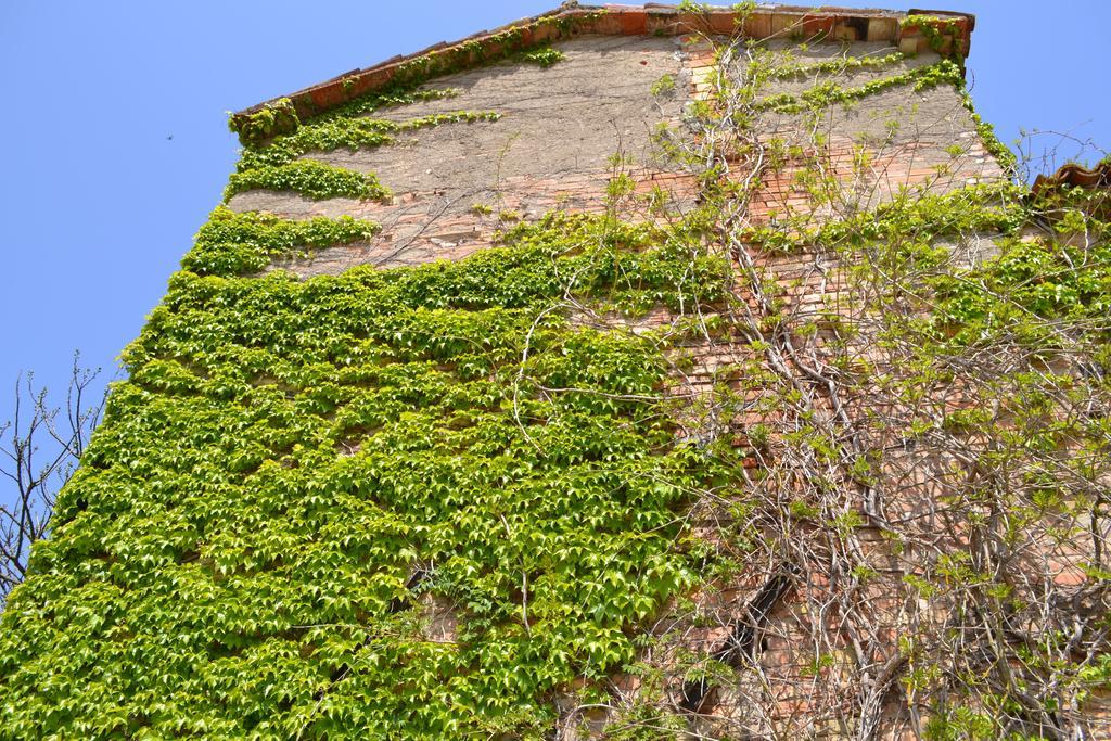 Agriturismo Nestore Dış mekan fotoğraf